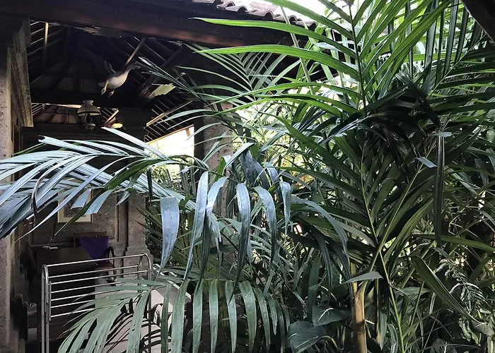 Homestay Nirvana